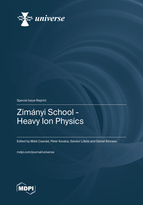 Special issue Zim&aacute;nyi School &ndash; Heavy Ion Physics book cover image