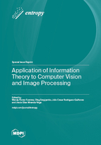 Special issue Application of Information Theory to Computer Vision and Image Processing book cover image