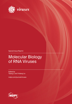 Special issue Molecular Biology of RNA Viruses book cover image