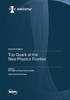 Special Issue Top Quark at the New Physics Frontier book cover image