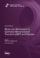 Special issue Molecular Mechanism in Epithelial-Mesenchymal Transition (EMT) and Fibrosis book cover image