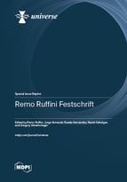 Special issue Remo Ruffini Festschrift book cover image