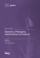 Special issue Genetics, Phylogeny, and Evolution of Insects book cover image