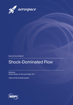 Special issue Shock-Dominated Flow book cover image