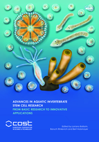 Advances in Aquatic Invertebrate Stem Cell Research