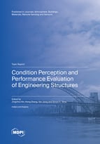 Topic Condition Perception and Performance Evaluation of Engineering Structures book cover image