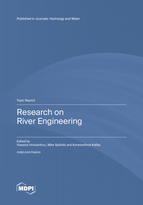 Topic Research on River Engineering book cover image