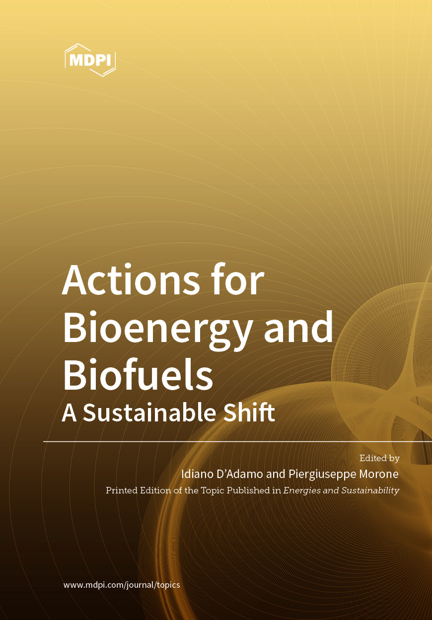 Book cover: Actions for Bioenergy and Biofuels: A Sustainable Shift