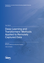 Topic Deep Learning and Transformers’ Methods Applied to Remotely Captured Data book cover image