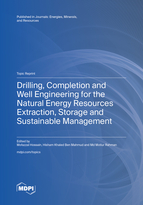 Topic Drilling, Completion and Well Engineering for the Natural Energy Resources Extraction, Storage and Sustainable Management book cover image