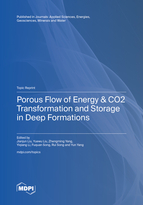 Topic Porous Flow of Energy & CO<sub>2</sub> Transformation and Storage in Deep Formations book cover image