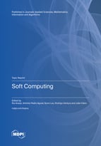 Topic Soft Computing book cover image