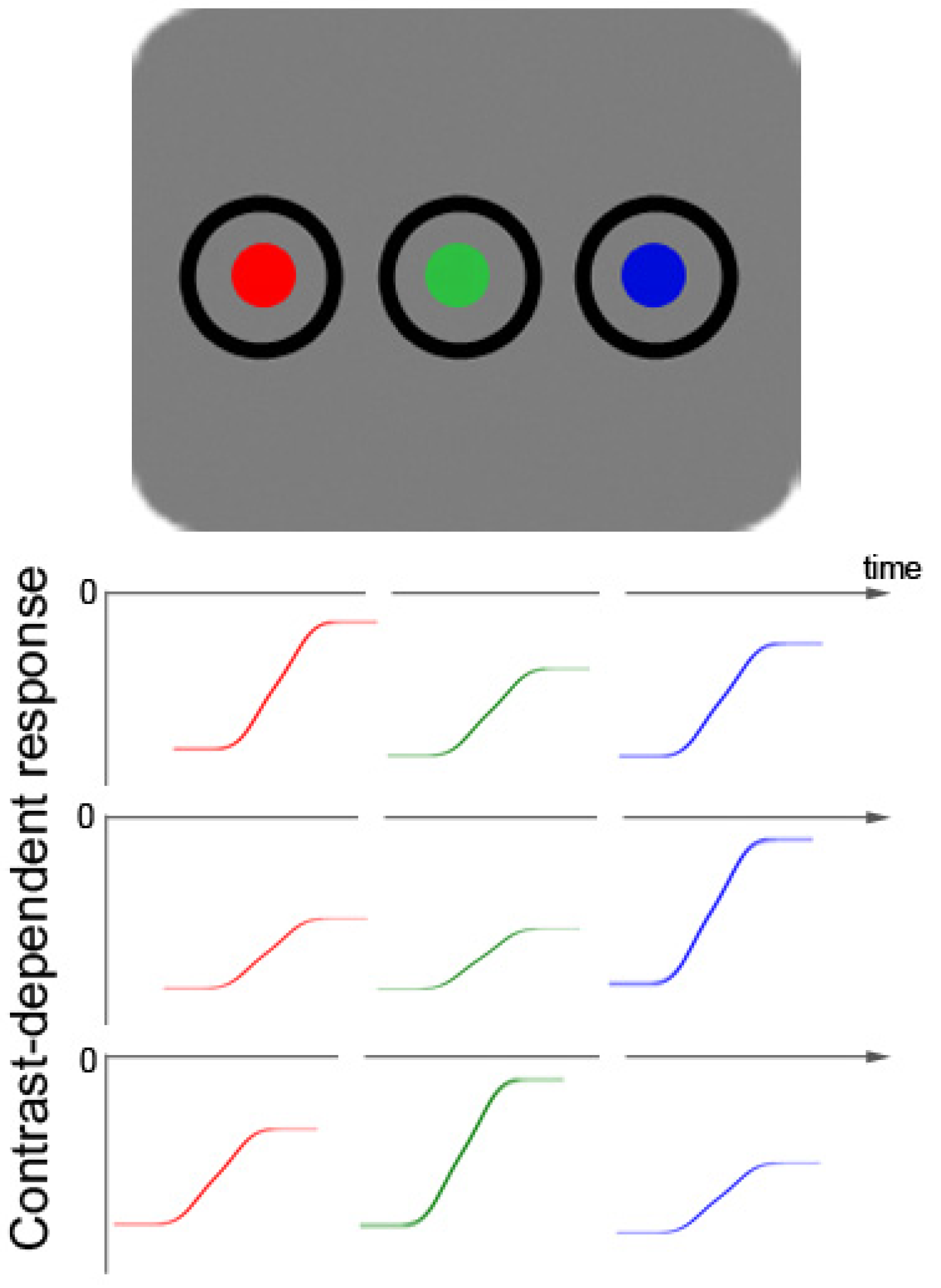 Brainsci 02 00033 g001