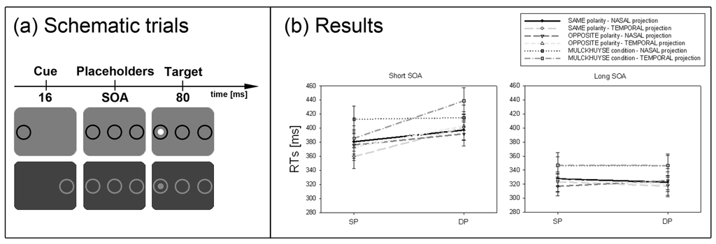 Brainsci 02 00033 g004 1024