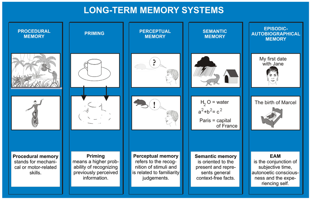 Brainsci 02 00101 g001 1024