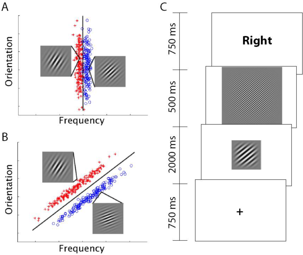 Brainsci 02 00176 g001 1024