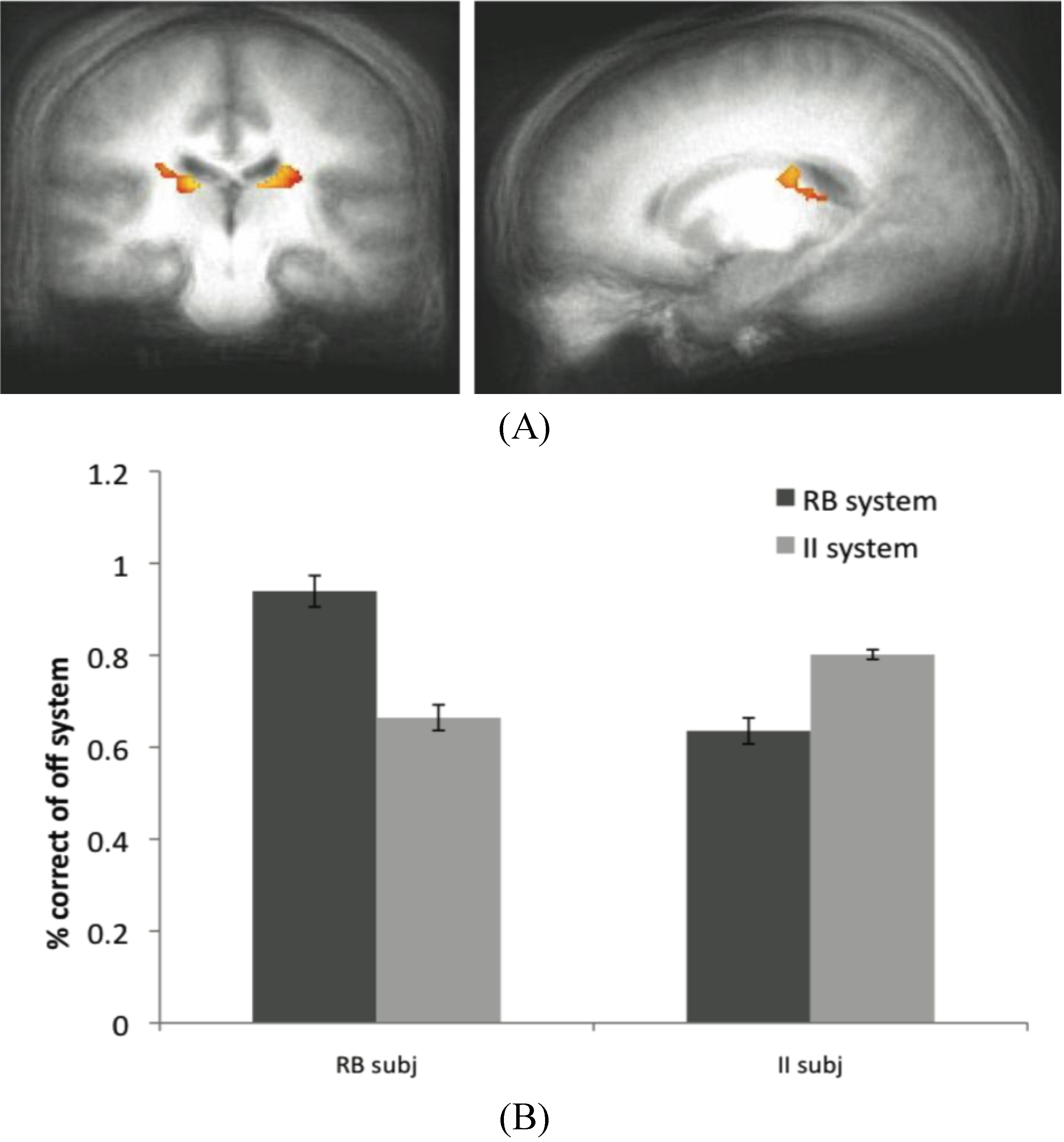 Brainsci 02 00176 g006