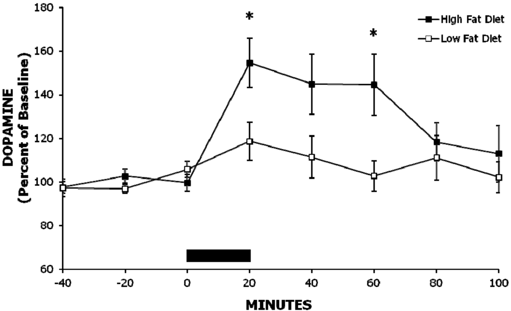 Brainsci 02 00242 g001 1024