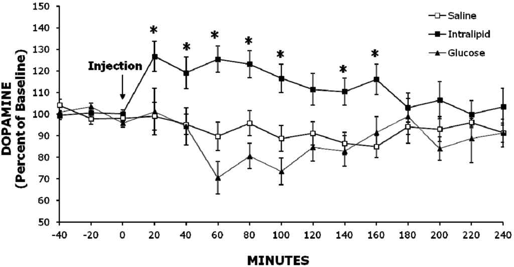 Brainsci 02 00242 g002 1024