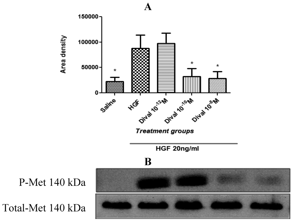 Brainsci 02 00298 g005 1024