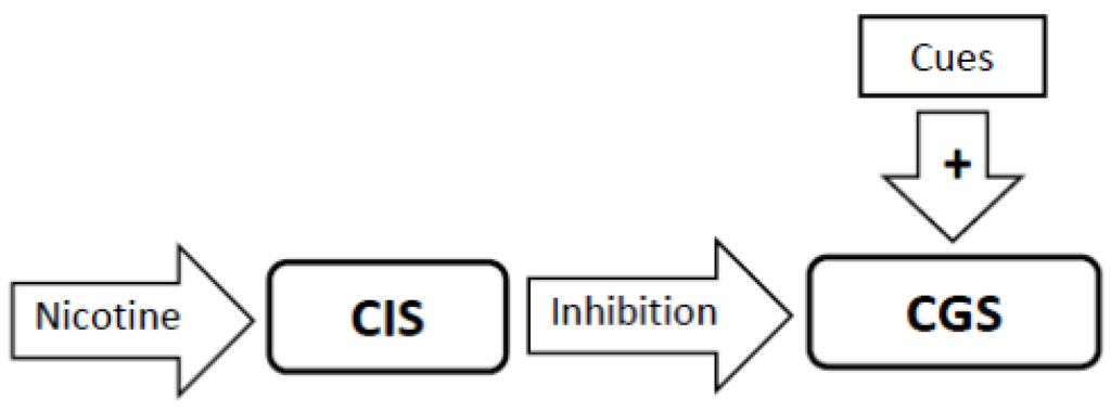 Brainsci 02 00523 g002 1024