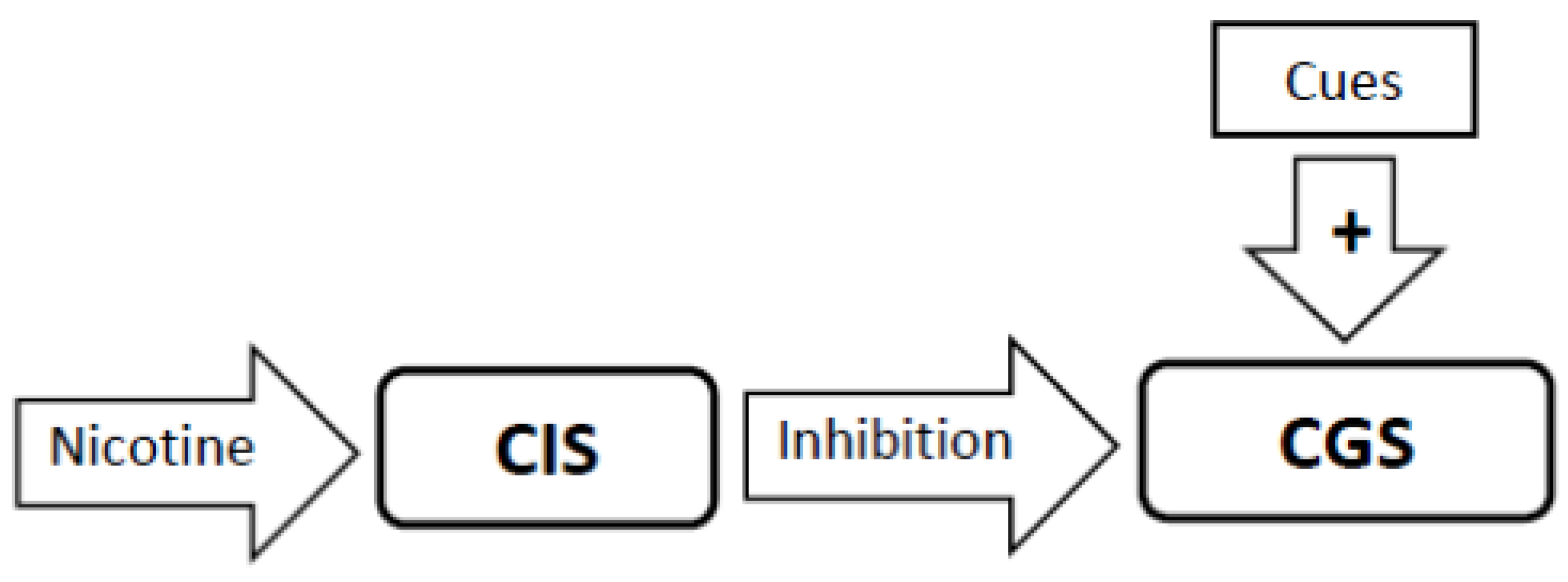 Brainsci 02 00523 g002