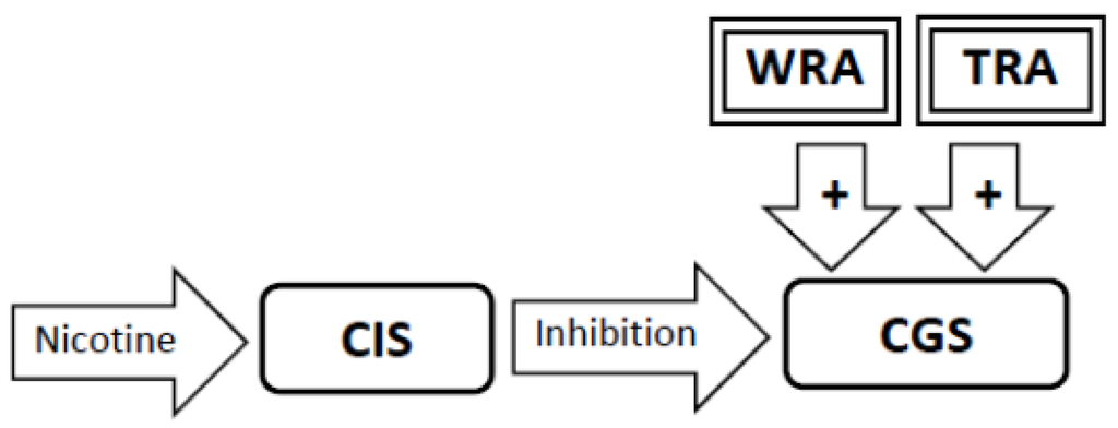 Brainsci 02 00523 g005 1024