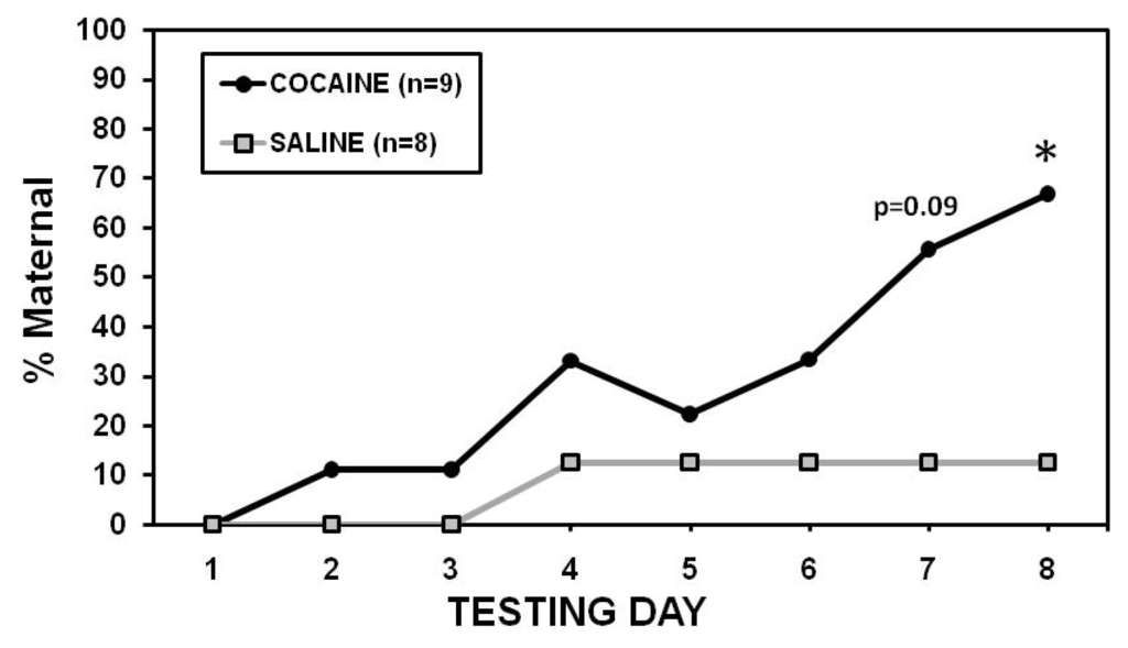Brainsci 02 00667 g002 1024