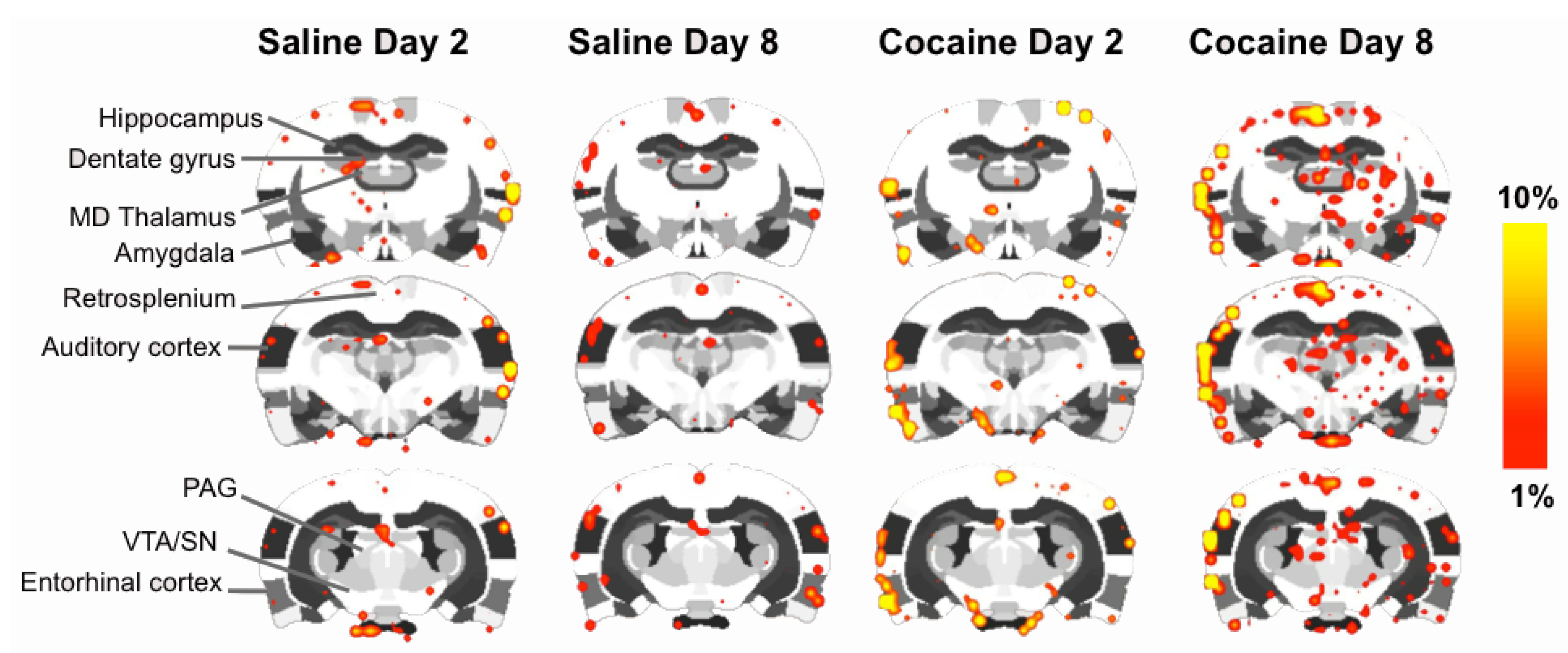 Brainsci 02 00667 g004