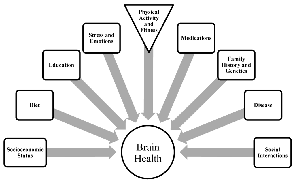 Brainsci 02 00684 g002 1024