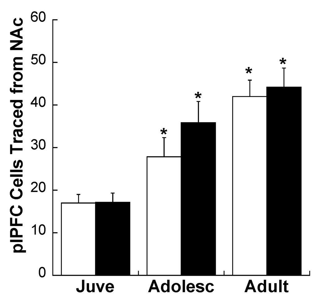 Brainsci 03 00143 g004 1024