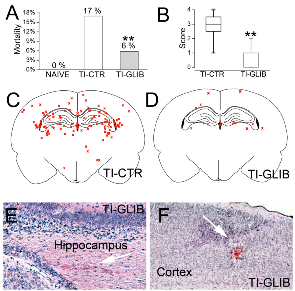 Brainsci 03 00215 g005 1024