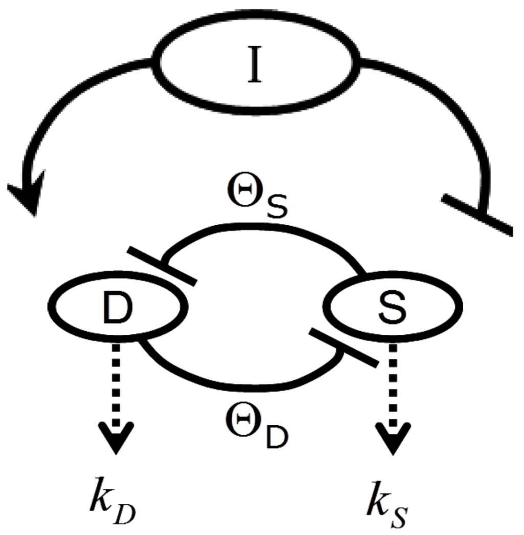 Brainsci 03 00460 g002 1024