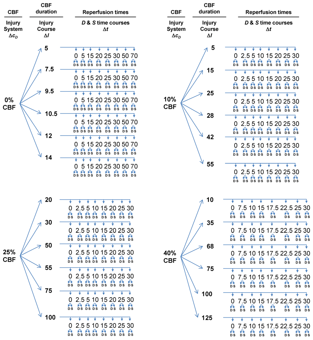 Brainsci 03 00460 g005 1024