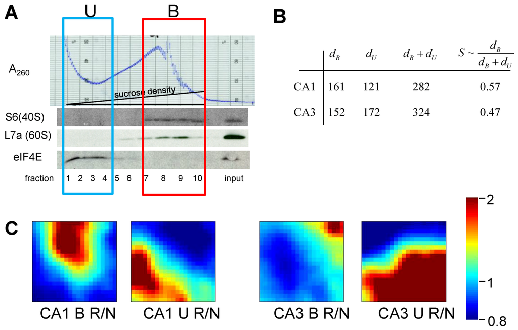 Brainsci 03 00460 g010 1024