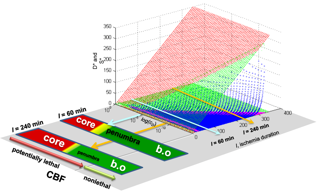 Brainsci 03 00460 g011 1024