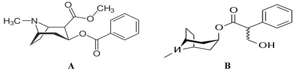 Brainsci 03 00504 g001 1024