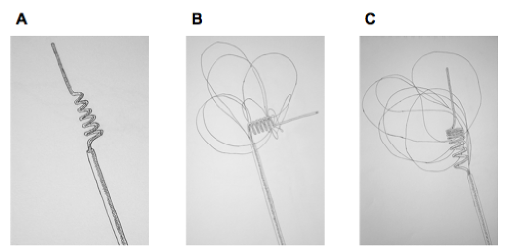 Brainsci 03 00521 g001 1024