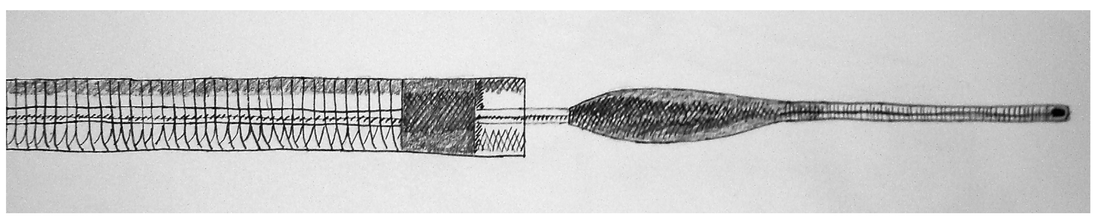 Brainsci 03 00521 g002