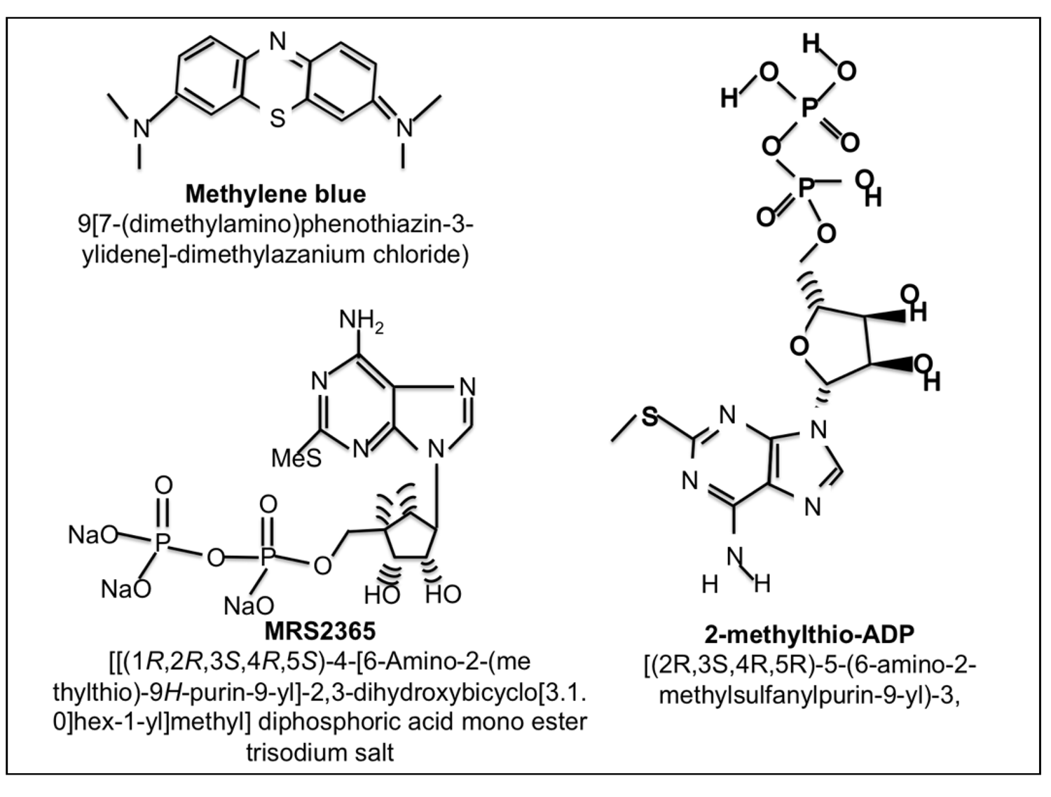Brainsci 03 00540 g003