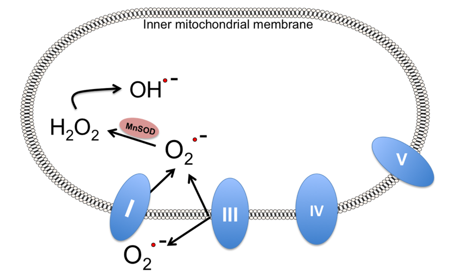 Brainsci 03 00540 g006