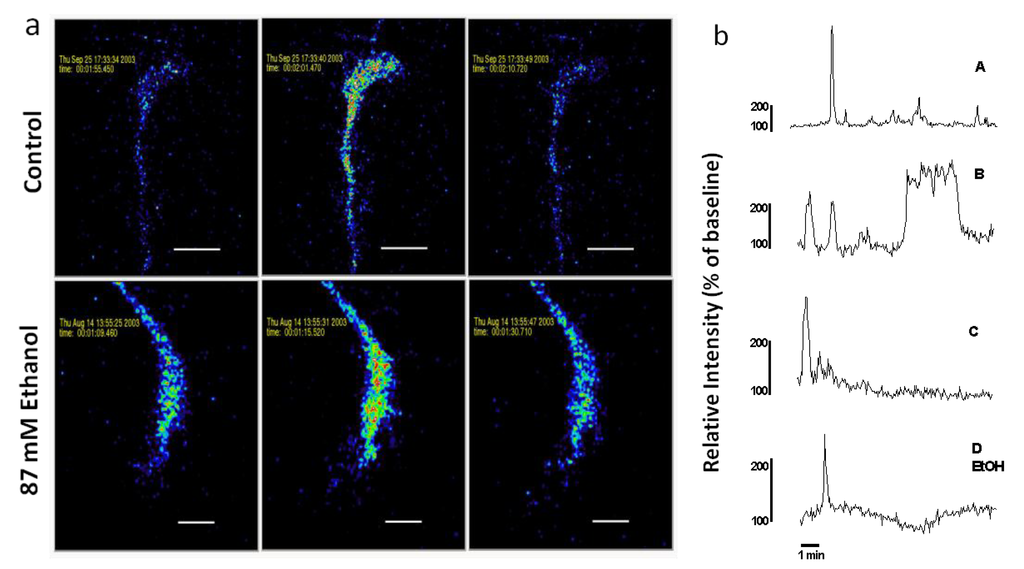 Brainsci 03 00615 g002 1024