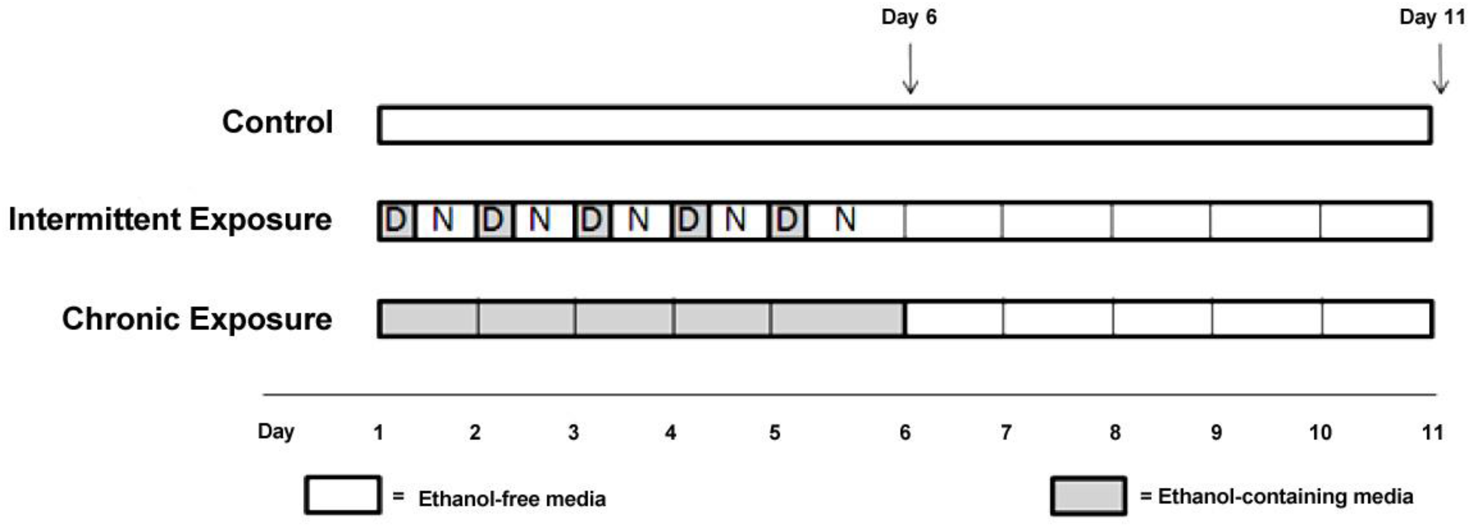 Brainsci 03 00744 g002