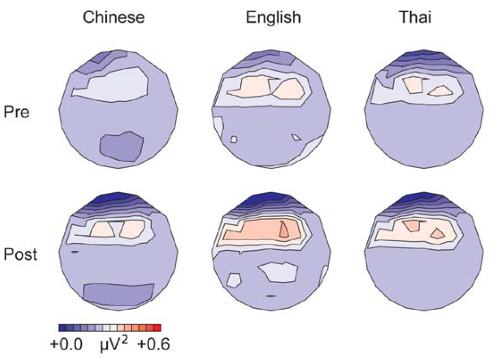 Brainsci 03 00757 g002