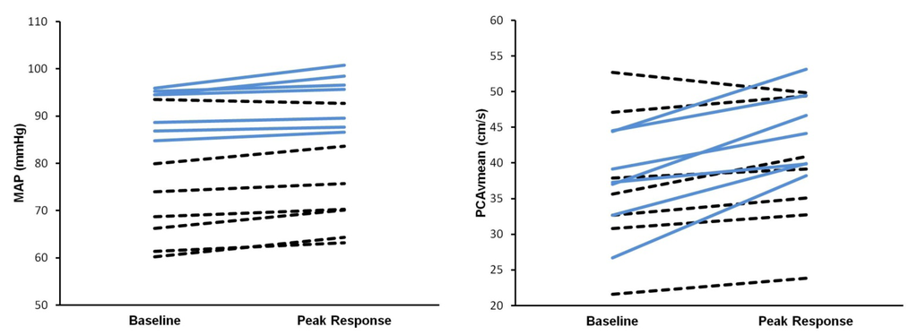 Brainsci 03 00781 g001 1024
