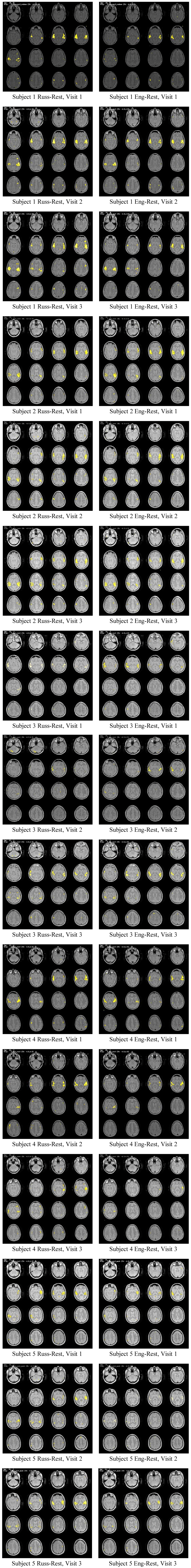 Brainsci 03 00849 g001