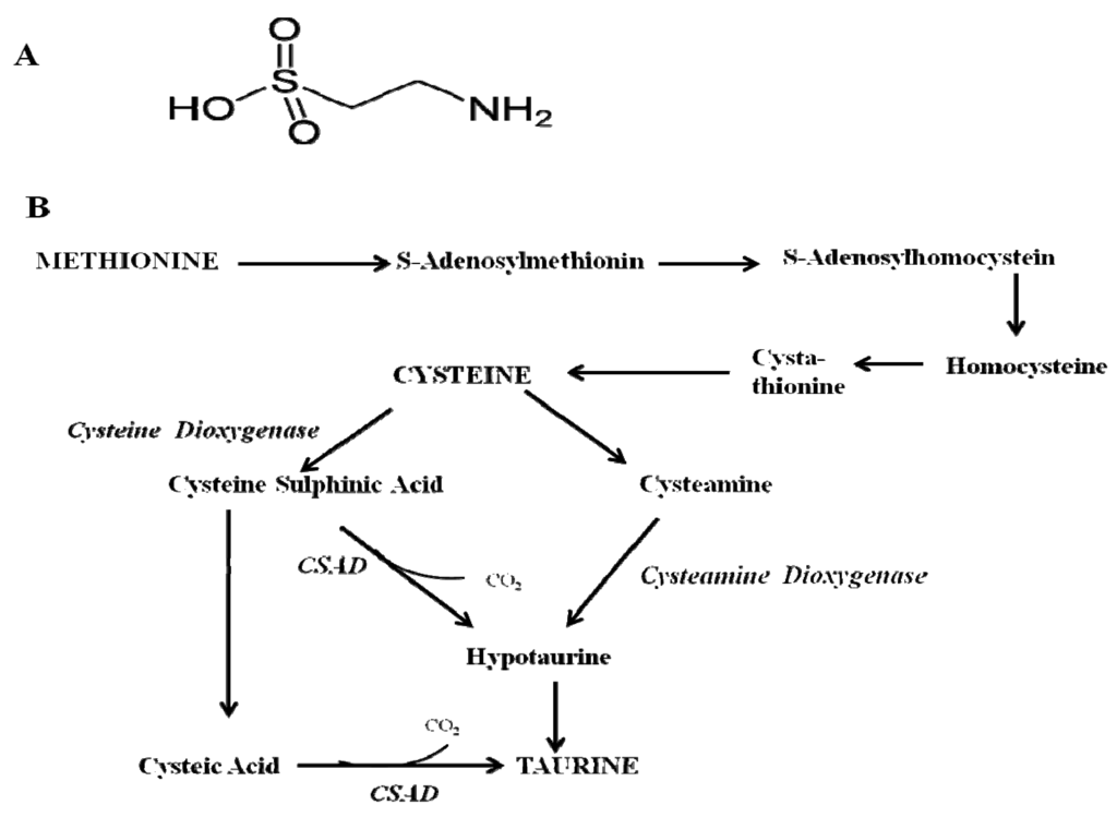 Brainsci 03 00877 g001 1024