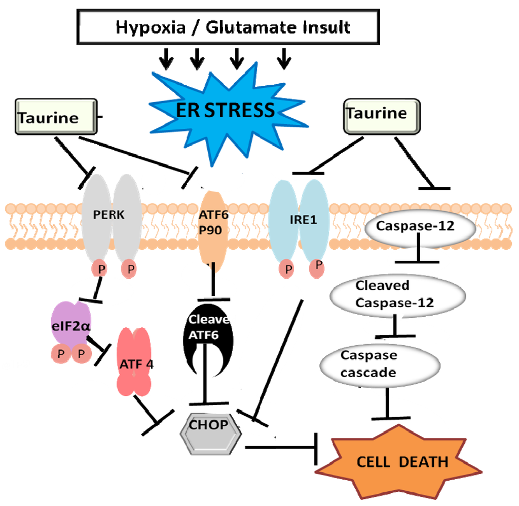 Brainsci 03 00877 g002 1024