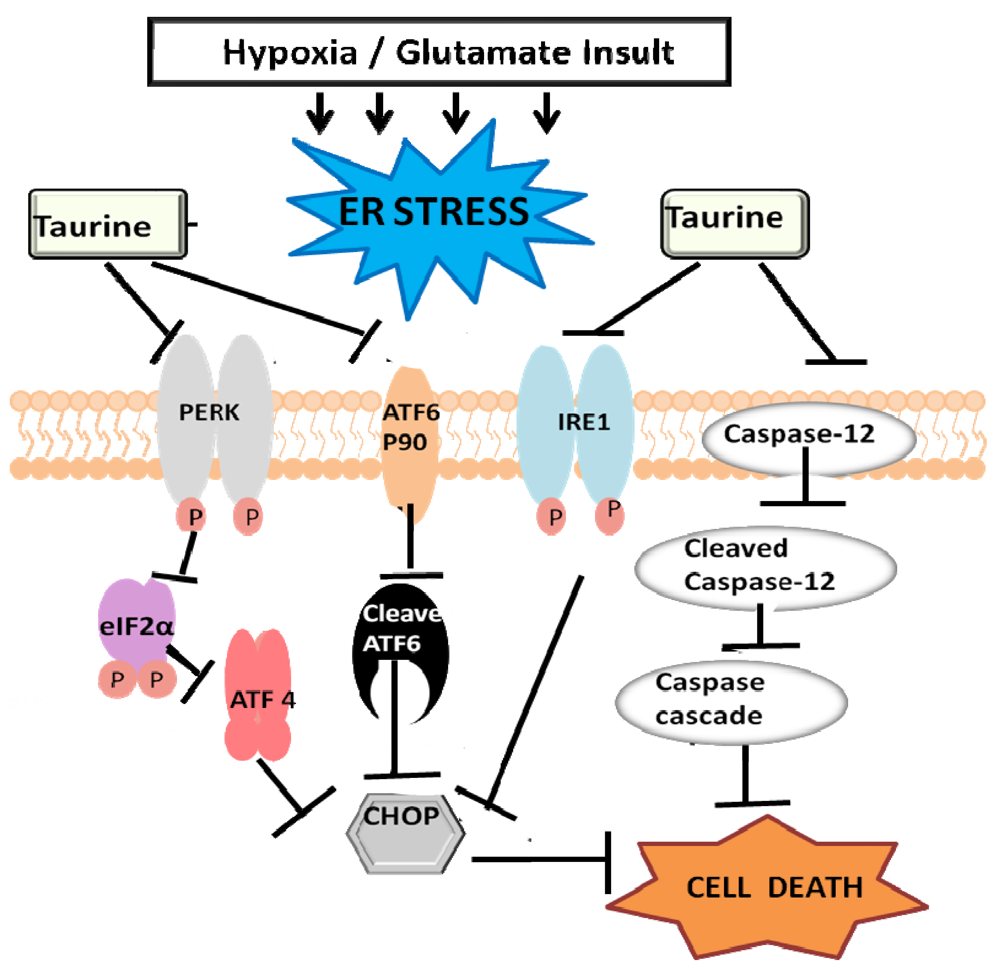 Brainsci 03 00877 g002