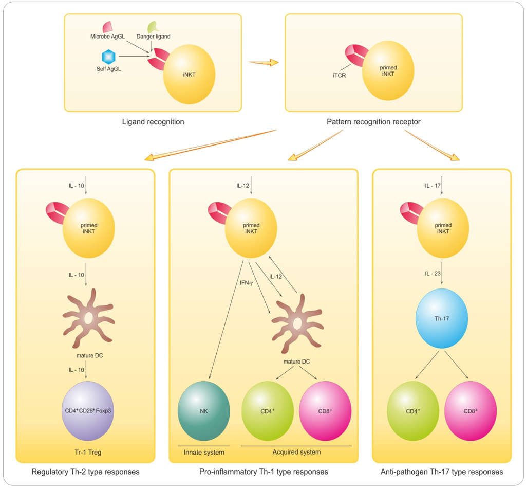 Brainsci 03 01282 g005 1024